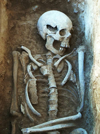 Skeleton 70