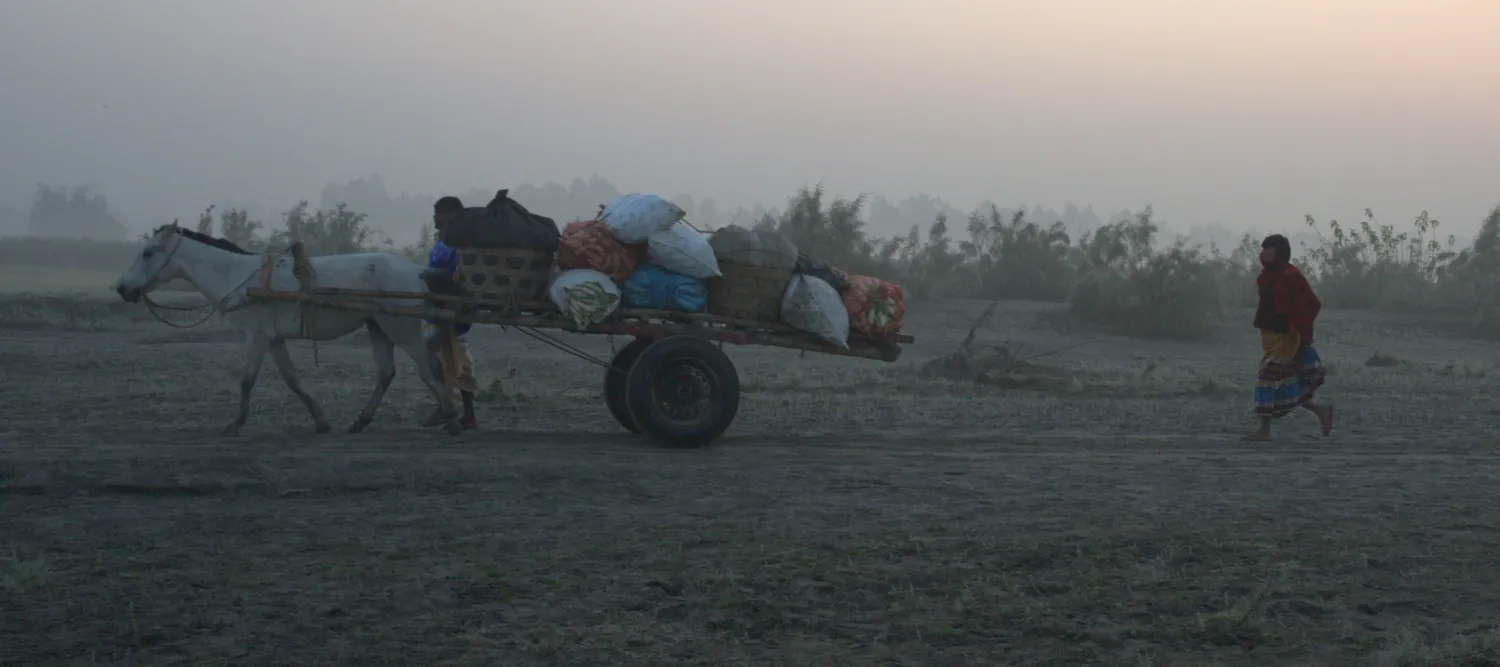 Picture of horse and cart, Bangladesh 
