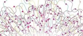 Logo image for PLOS ONE
