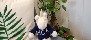 A fluffy unicorn toy wearing a blue sweater emblazoned with the initials HCA sits on a grey sofa next to a large green plant
