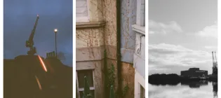 Three images side by side - cranes agaist a dark blue evening sky, the marks of ivy up the side of a building, a black and white image of calm water, a single swan floating on it.