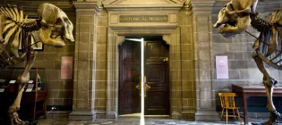Anatomy Museum