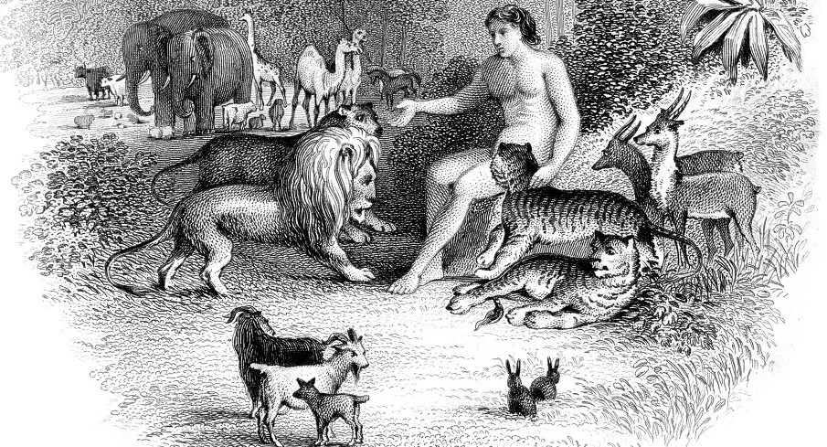 Adam in the Garden of Eden