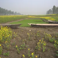 Boats in a dried field, Bangladesh 