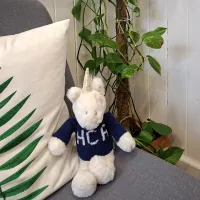A fluffy unicorn toy wearing a blue sweater emblazoned with the initials HCA sits on a grey sofa next to a large green plant