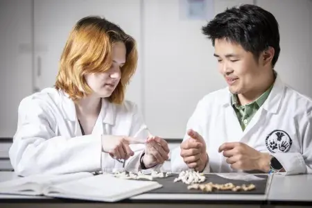 Students studying remains