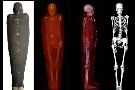 3D reconstruction of the Rhind skeleton