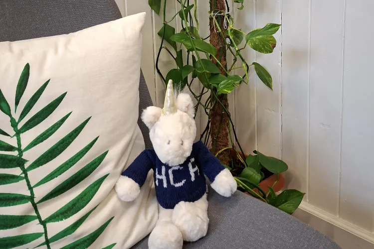 A fluffy unicorn toy wearing a blue sweater emblazoned with the initials HCA sits on a grey sofa next to a large green plant