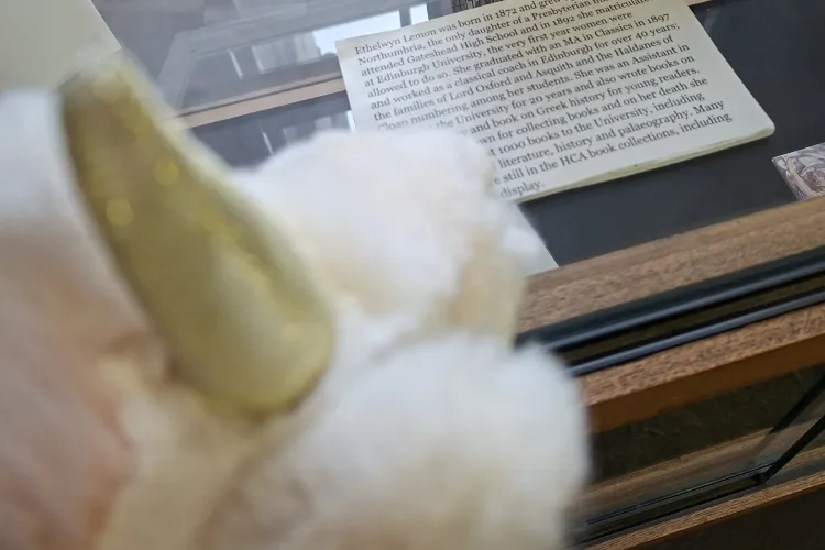 A fluffy unicorn toy looks into a display case
