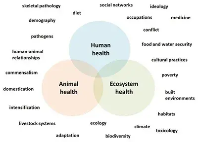 One Health Archaeology Research Group