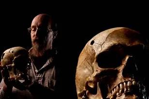 photograph of skulls