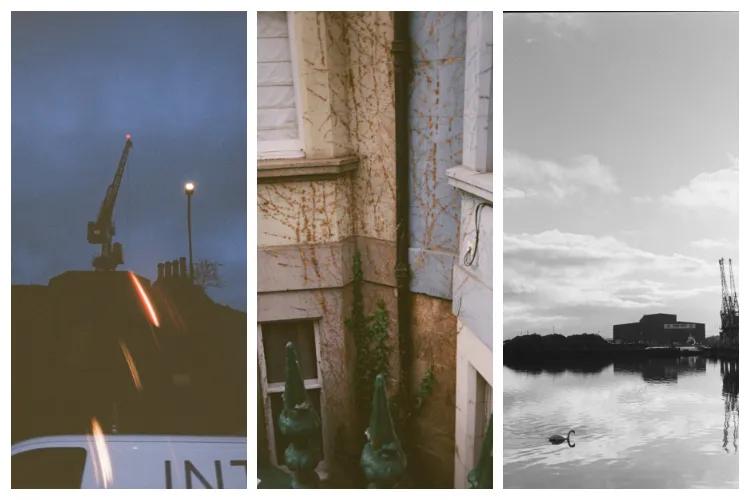 Three images side by side - cranes agaist a dark blue evening sky, the marks of ivy up the side of a building, a black and white image of calm water, a single swan floating on it.