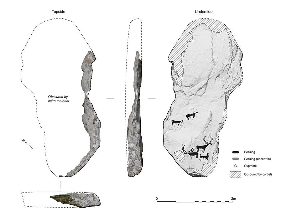 HCA Technical illustration of the engraved slab in Dunchraigaig Cairn showing deer