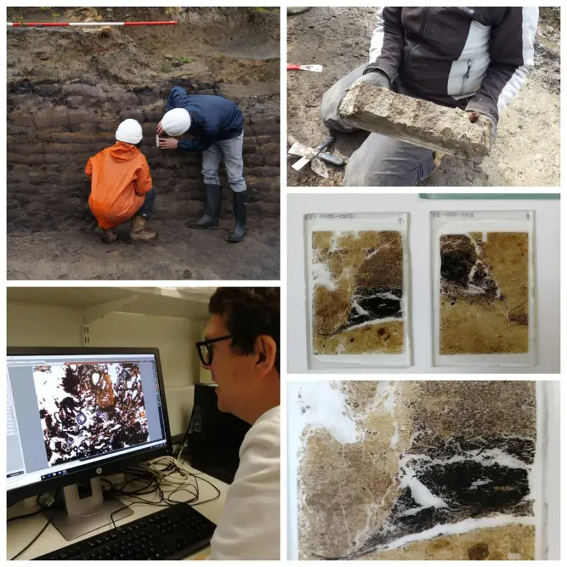 Clockwise from top left: Sampling a turf rampart at Vindolanda; Inspecting layers of Roman turf; Thin sections of Roman turf walls; Inspecting thin sections in the lab.