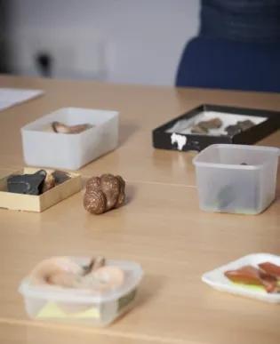 Items from the Vere Gordon Childe collection