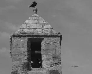 Image showing church steeple