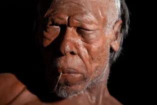 Model of early modern human