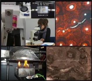 forensic anthropology