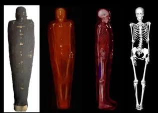 3D reconstruction of the Rhind skeleton