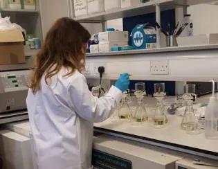 HCA Archaeology Intership