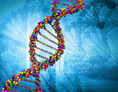 HCA DNA double helix