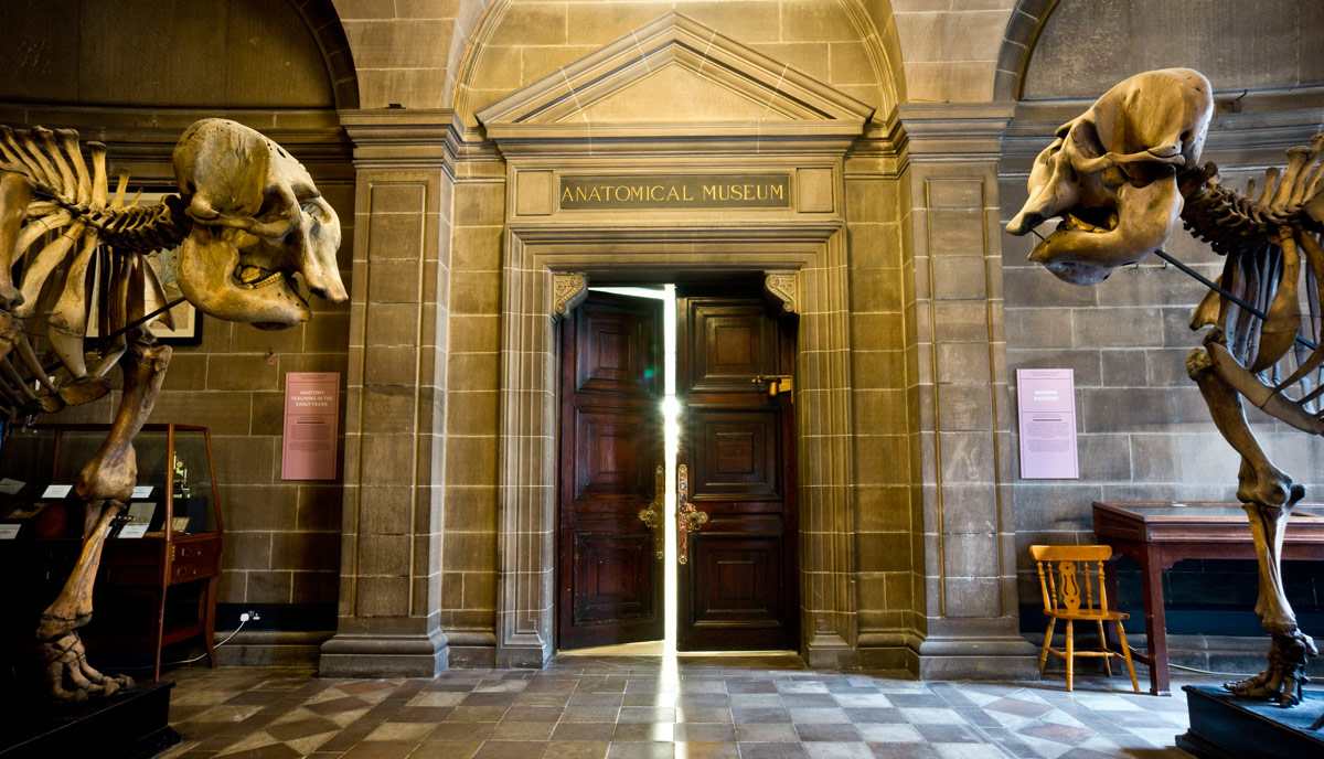 Entrance to the Anatomical Museum